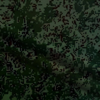  в Омске