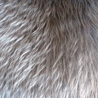 Мех искусственный длинноворсовый  в Омске