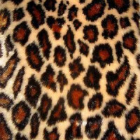 Мех искусственный, коротковорсовый  в Омске