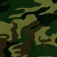  в Омске